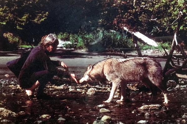 Sussane Hare greeting a wild wolf in Vancouver Island.
