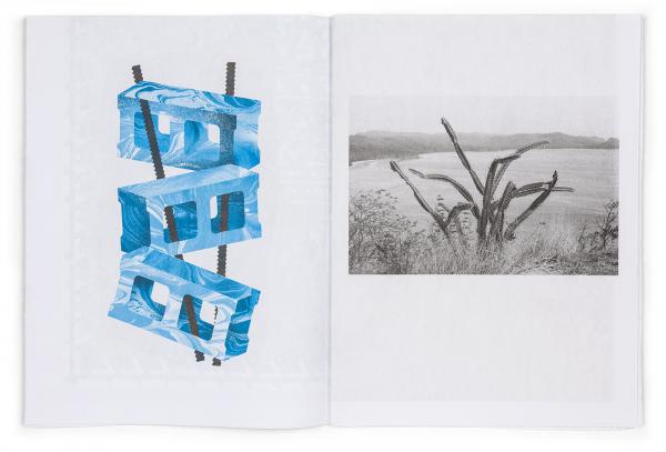 Dan Funderburgh / Billy Teichen