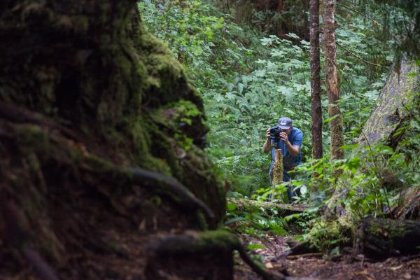 Brian Kelley photographing the World's Tallest Douglas Fir.